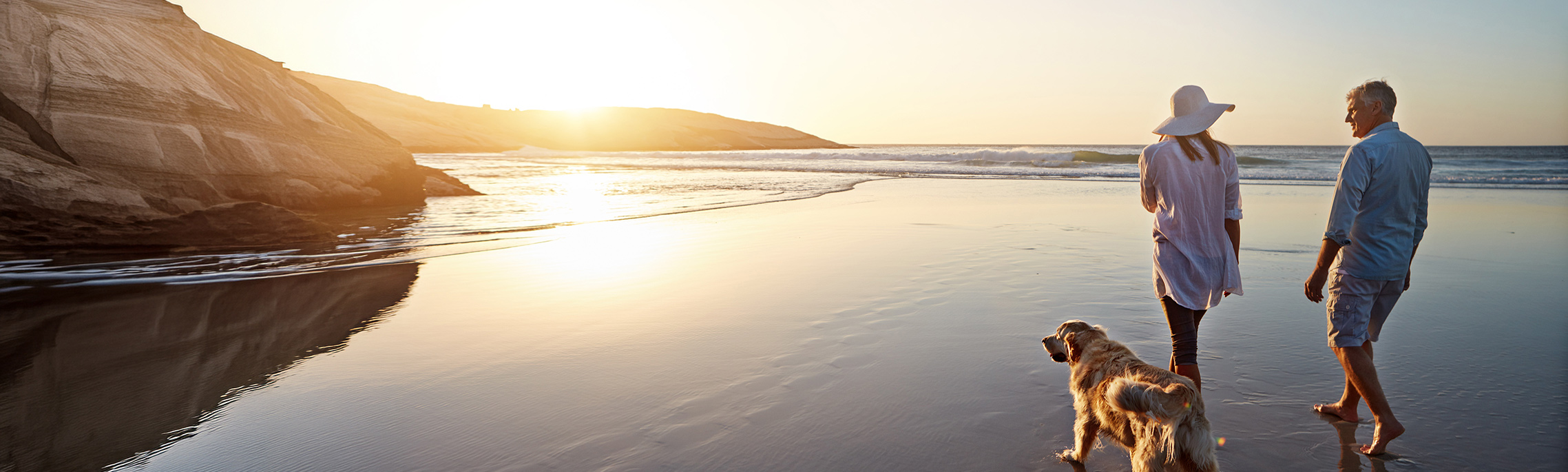 Couple walking their dog on a beach