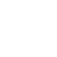 Digital Wallets