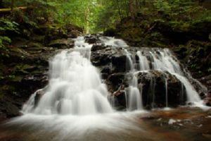 Brookside Trail